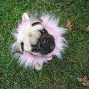 Meet your Posher, Catherine